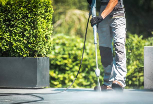 Best Dumpster Area Cleaning  in Palmetto, FL