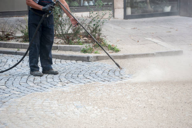 Best Fence Cleaning  in Palmetto, FL
