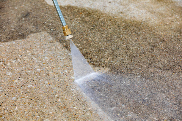 Best Gutter Cleaning  in Palmetto, FL