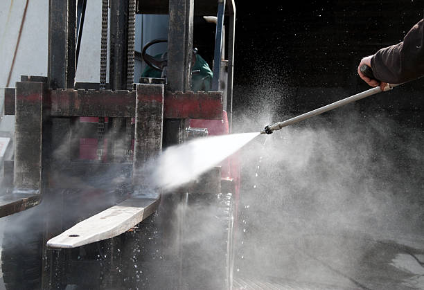 Best Driveway Pressure Washing  in Palmetto, FL